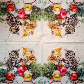 KAT-963 Katzen - 3-lagig - Ambiente